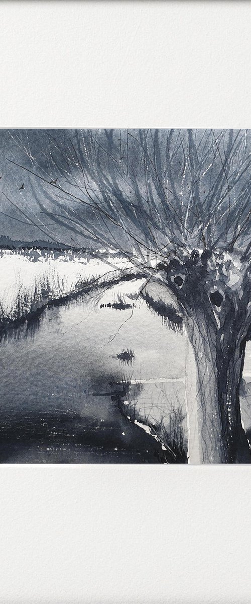 Monochrome - Winter Pollarded Willow by Teresa Tanner