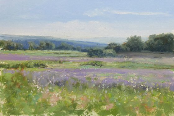 Lavender near Grignan