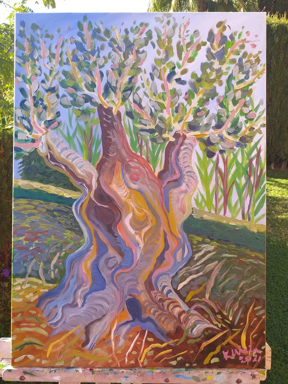 Olive tree SOLD