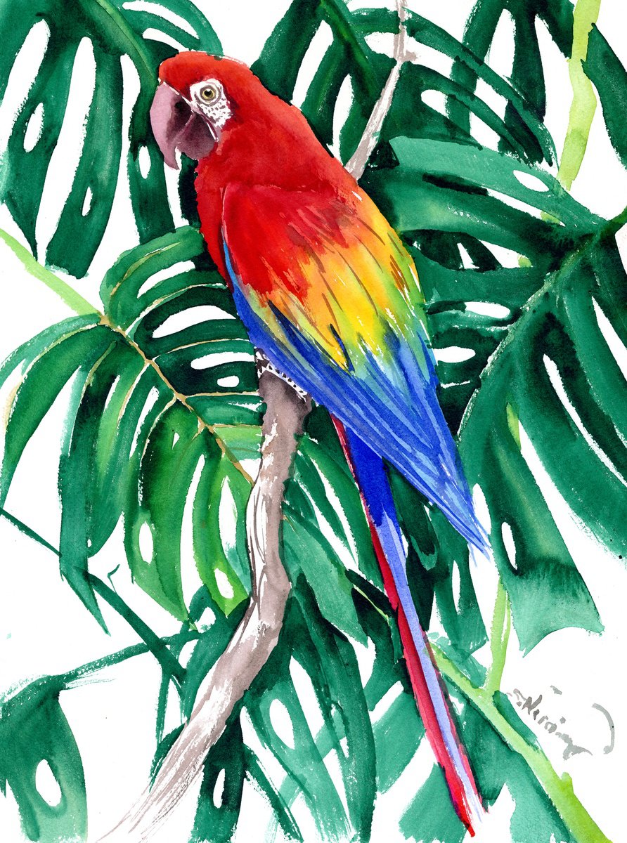 Scarlet Macaw Parrot in the Jungle by Suren Nersisyan