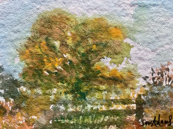 October oak