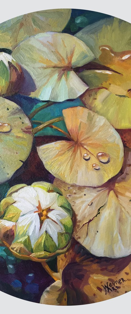Water lilies. Painting of water lilies. by Natalia Veyner
