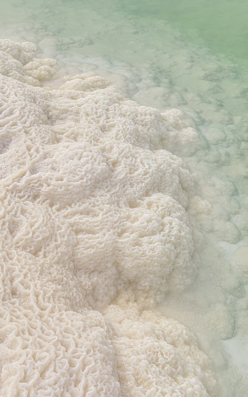 Dead Sea. Patterns of solid salt by Lidiya Dmitrieva