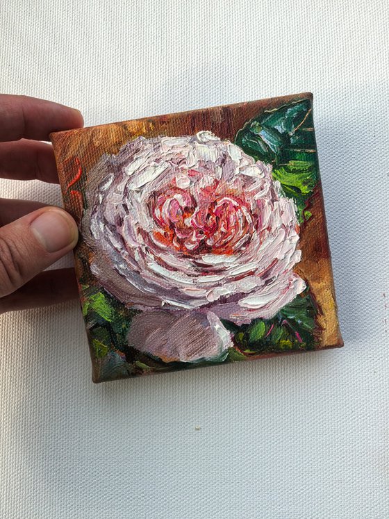 Pink rose original mini still life