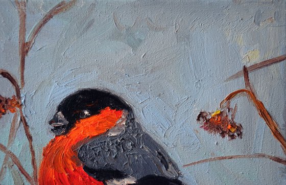 Original oil painting Bird Bullfinch