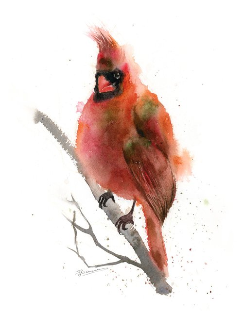 Fat Cardinal - Original Watercolor by Olga Shefranov (Tchefranov)