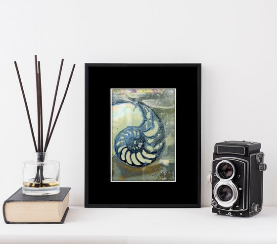 Nautilus Shell 2020-14 - Mixed media Sea Shell Painting by Kathy Morton Stanion