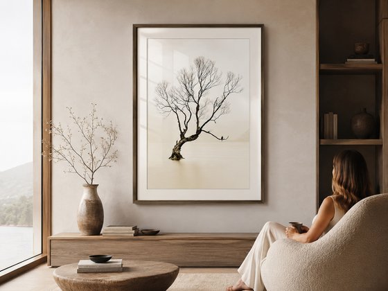 The Lone Willow of Wanaka