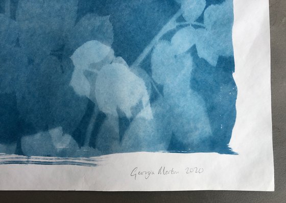 Hi There - Cyanotype