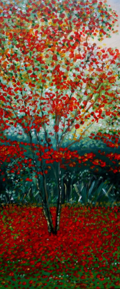 Autumn Acer by Paul J Best