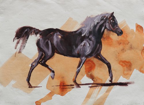 Arabian I (study) by Zil Hoque