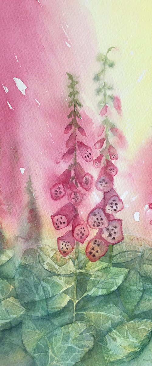 Pink Foxgloves by JANE DENTON