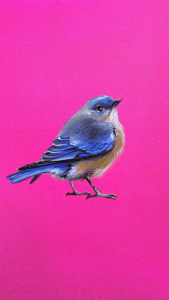 Bluebird Happiness