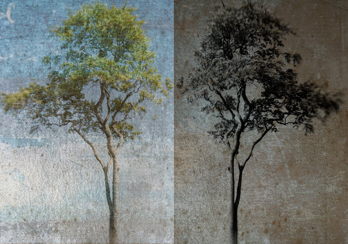 Landscape Photograph By Claire Newman-Williams, 24 X 18, Reflection, Original Artwork