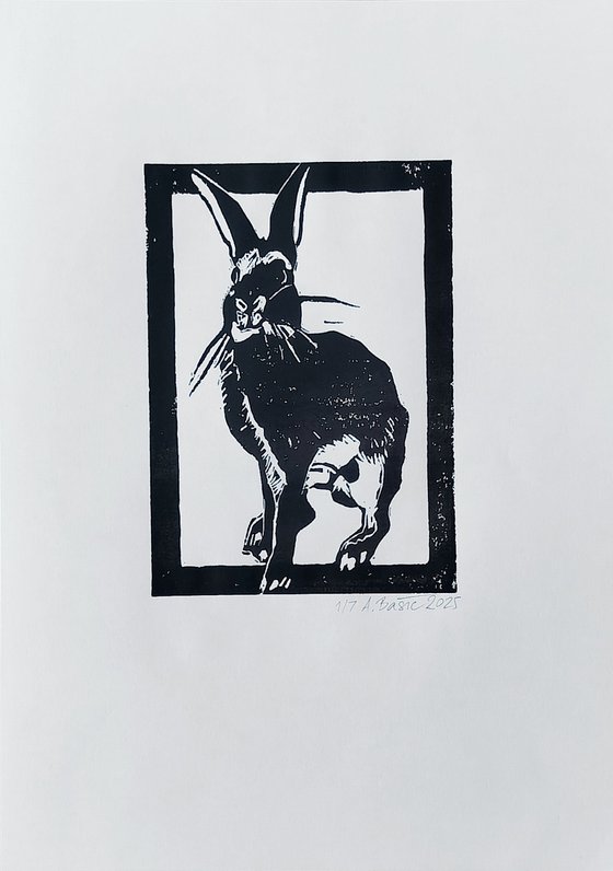 Rabbit 1/7