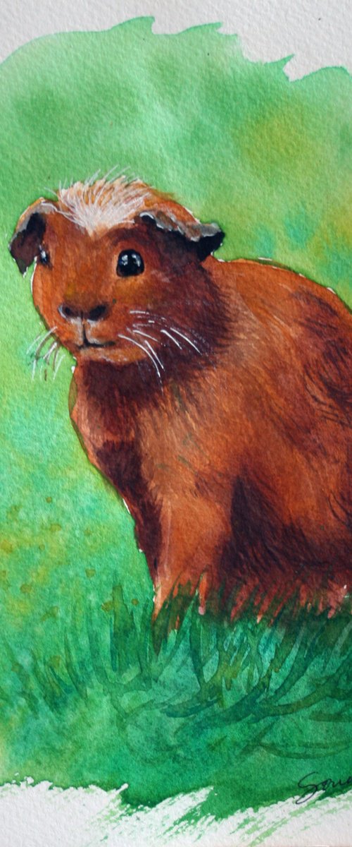 Guinea Pig I,  5.5 x 8'' / FROM THE ANIMAL PORTRAITS SERIES / ORIGINAL PAINTING by Salana Art Gallery