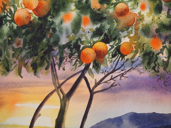 Mediterranean sunset with oranges tree