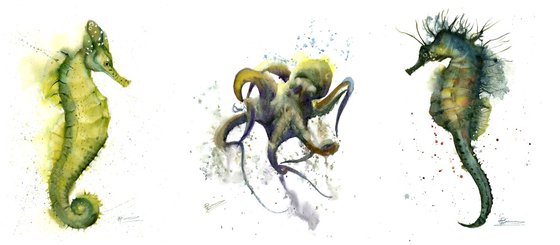 Ocean Creatures - Triptych