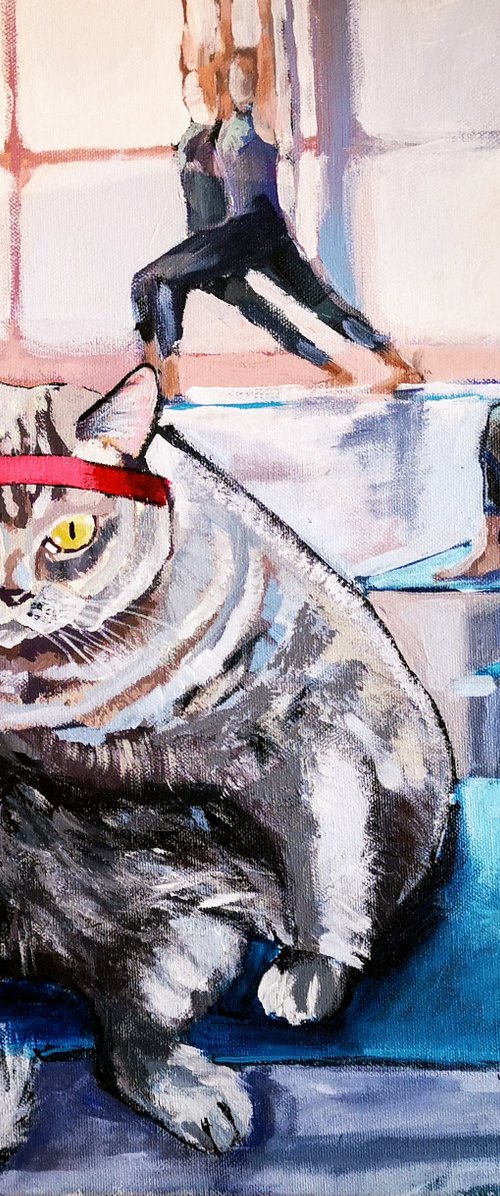 Yoga Cat by Jelena Nova