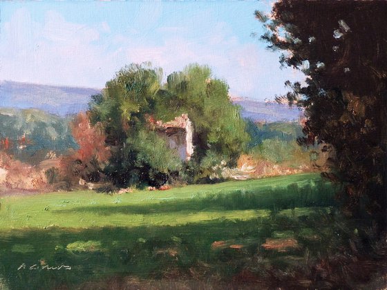 Shed in Provence