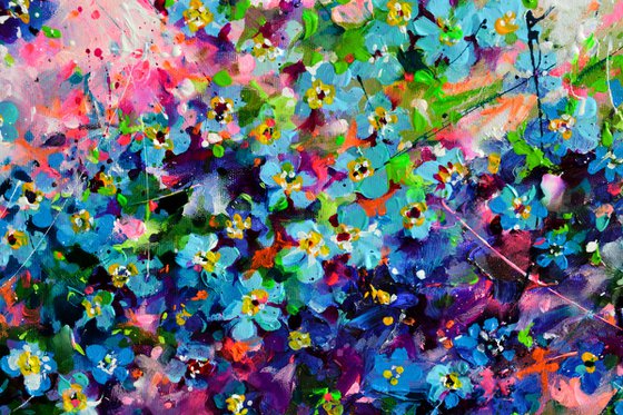 Forget me not flower field at sunrise