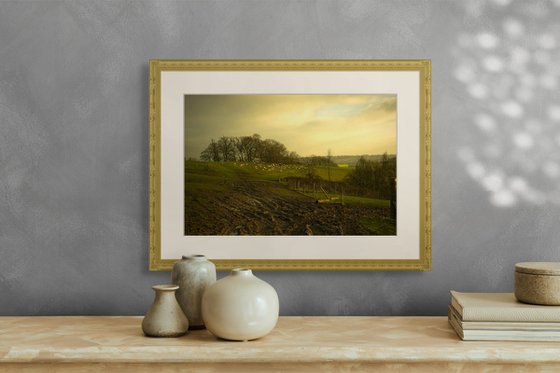 Isle of Oxney