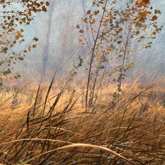 In the mist of autumn. Scene 2 "The grass has already turned yellow".