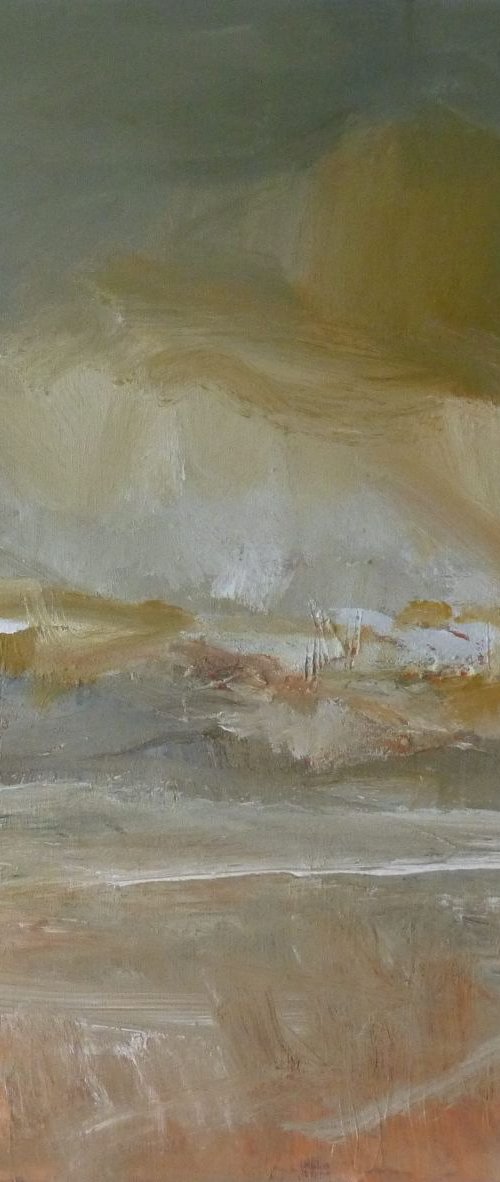 Summer Storm by Fiona Philipps