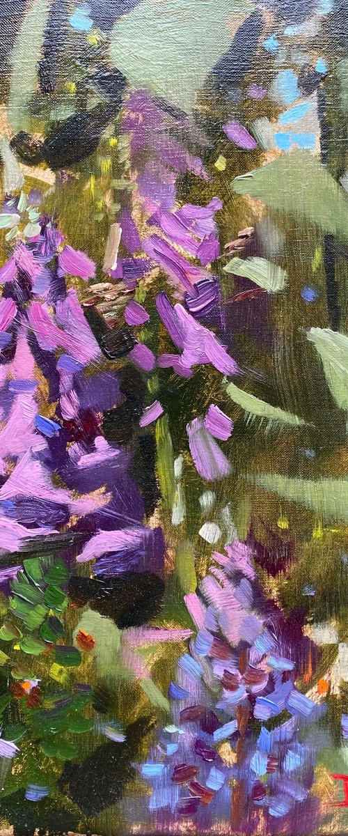 Foxgloves by David Barber