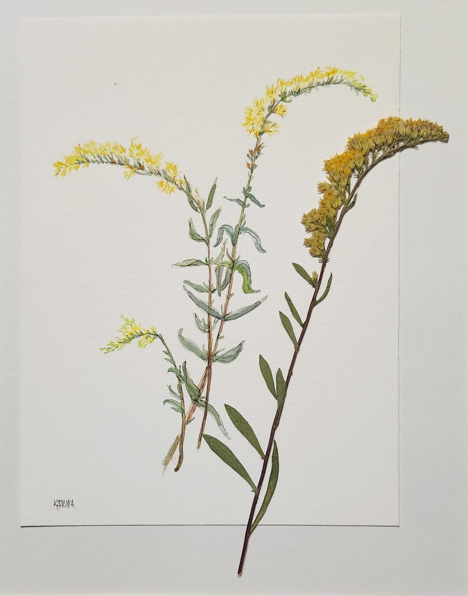 Impressionistic Painting , Goldenrod By Katrina Case, 12 X 15, Artwork For Sale On Artfinder