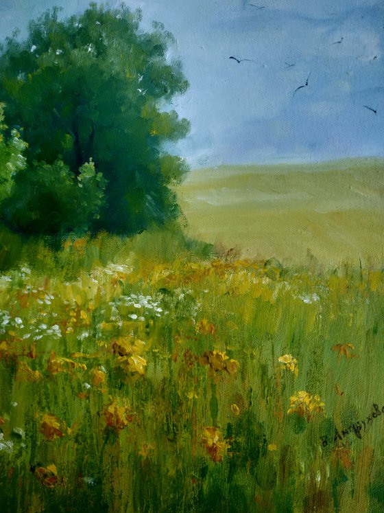 Summer landscape