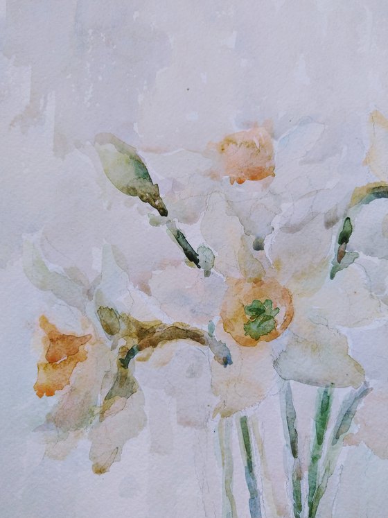 Daffodils. Original watercolour painting.