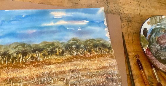 Durlston country park, Dorset