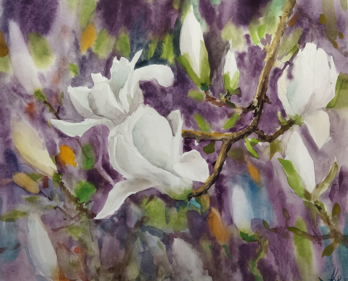 Magnificent White Magnolia by Ann Krasikova