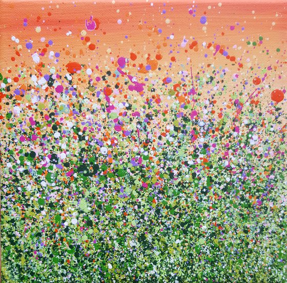 Morning Meadow Splash