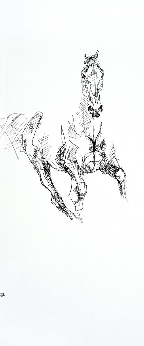 Equine Nude 27a by Benedicte Gele