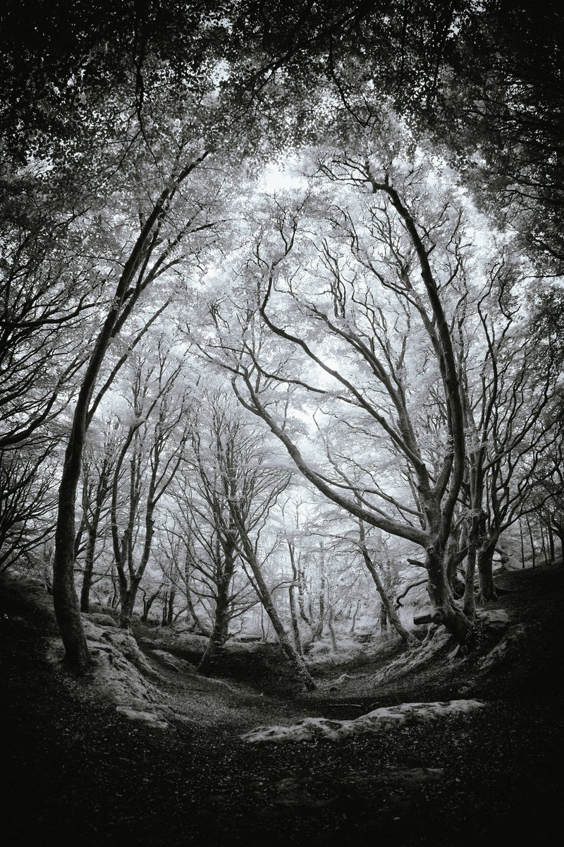 Photorealistic Photograph , Edge Of Fanghorn By Paul Nash, 16 X 24, Artwork For Sale On Artfinder