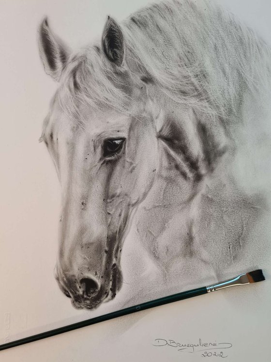 Oil painting horse