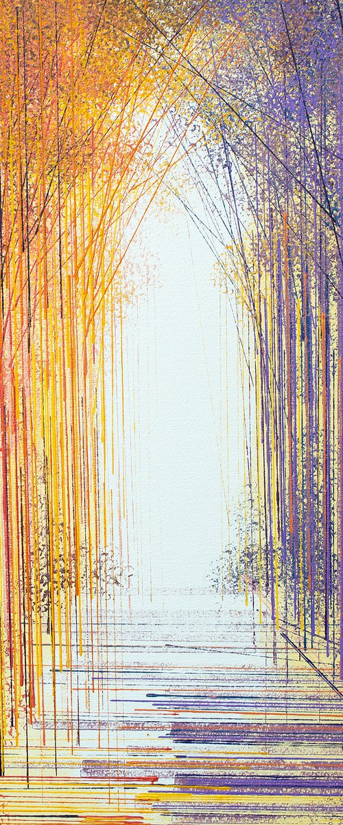 Light Through Trees At Sunset by Marc Todd