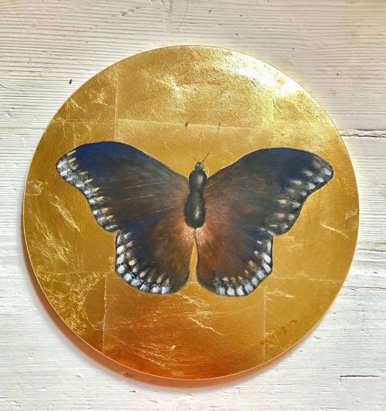 Dark Brown Butterfly Oil Painting on  Fine Italian Canvas Frame