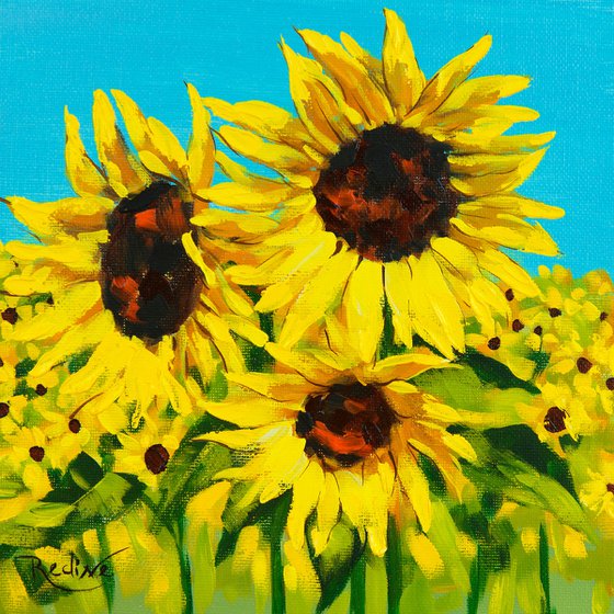 Sunflowers