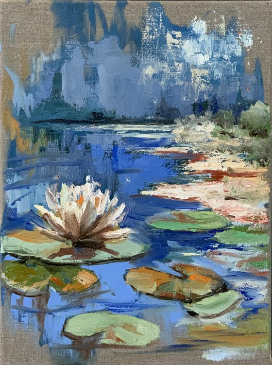 Water Lily pond.