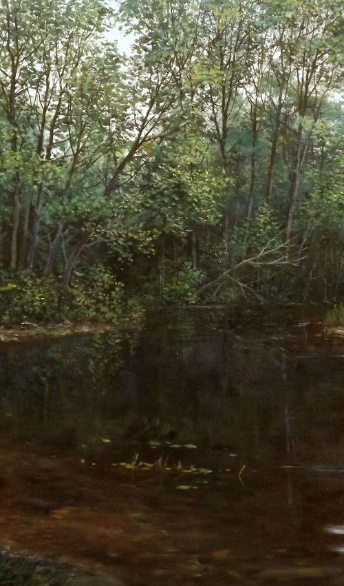 Deep in the forest by Oleg Riabchuk