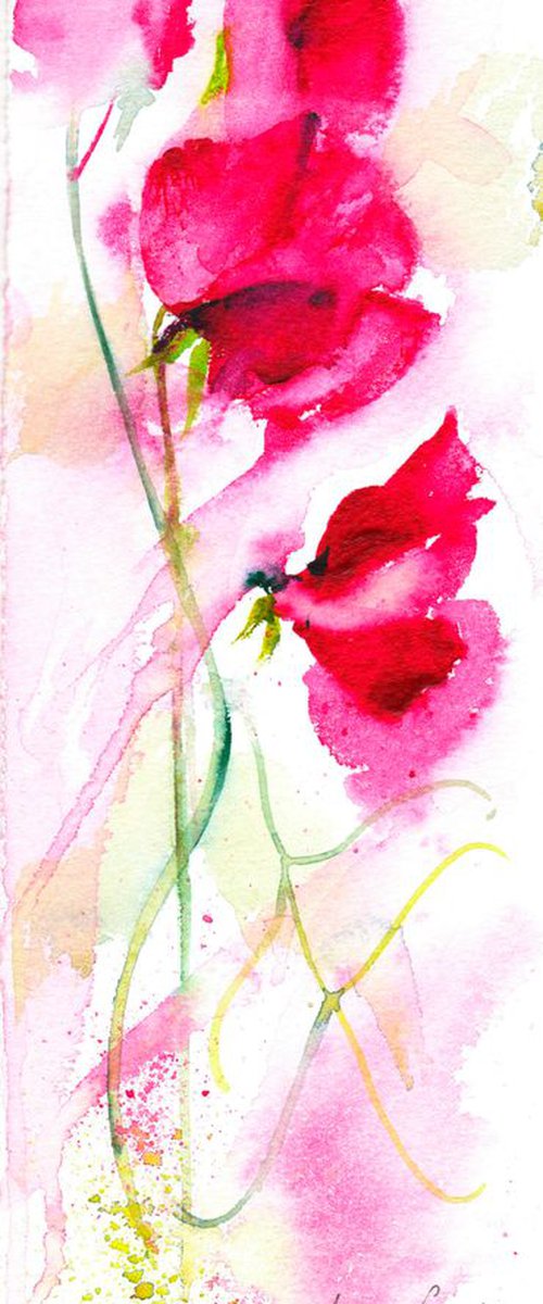 Red Sweetpea by Anjana Cawdell