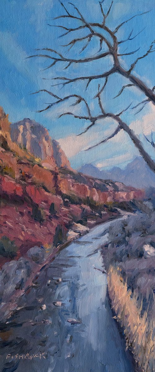 North Fork Virgin River by Daniel Fishback