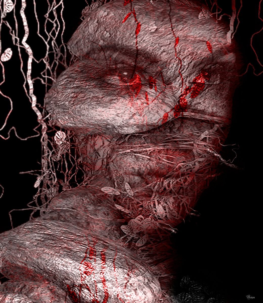 Illustrative Portrait Photograph By Bojan Jevtic, 37 X 43, Don