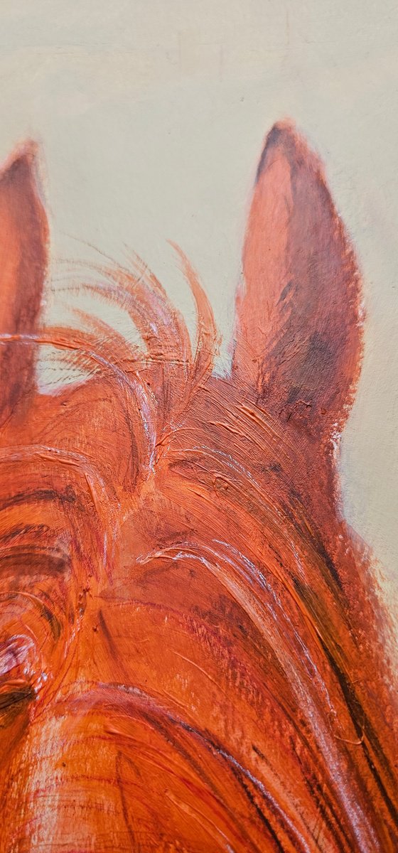 Orange chestnut horse neck mane ears