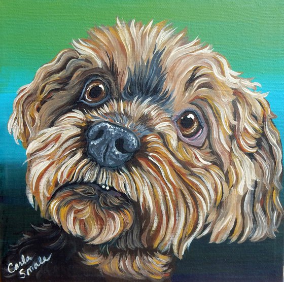 Shih Tzu Pet Dog Original Art Painting-8 x 8 Inches Stretched Canvas-Carla Smale