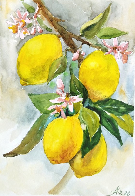 Juicy lemons on branch