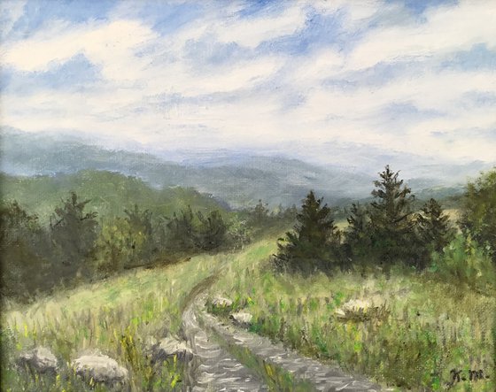 MOUNTAIN TOP TRAIL